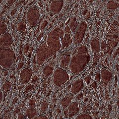 Кресло парикмахерское Hairway "Аделина" цвет черный, красный крокодил 56192