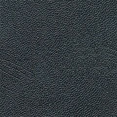 Стул мастера Hairway "Мустанг" цвета черный 51220